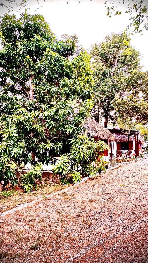 Cabanas Mr 巴卡拉尔 外观 照片